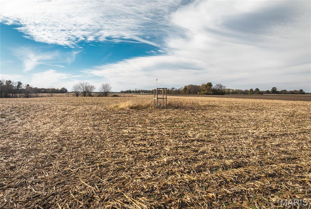 32987 Tb Ruyle Road Medora, IL 62063 - Photo 17 of 20