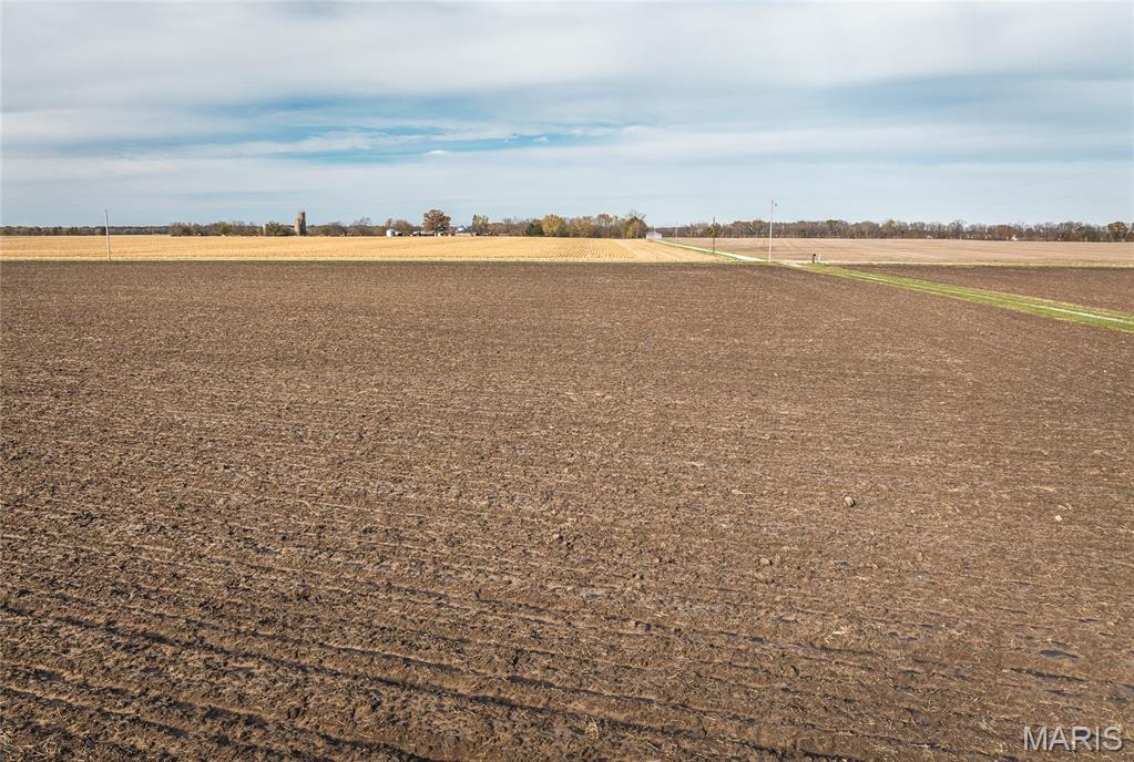 32987 Tb Ruyle Road Medora, IL 62063 - Photo 18 of 20