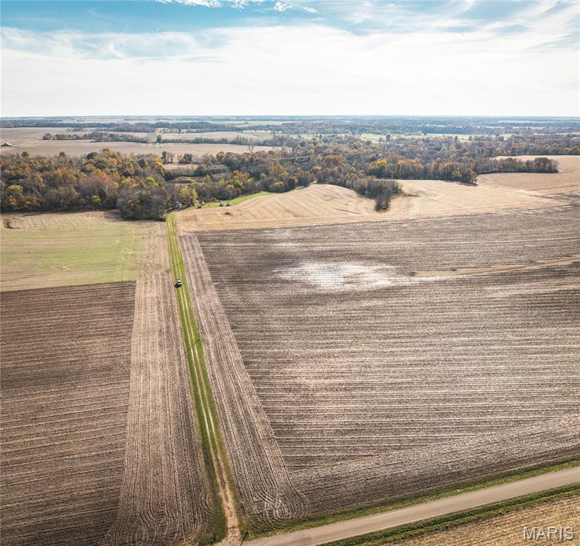 32987 Tb Ruyle Road Medora, IL 62063 - Photo 3 of 20