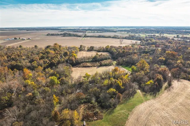 $190,000 | 32987 Tb Ruyle Road, Medora, IL 62063