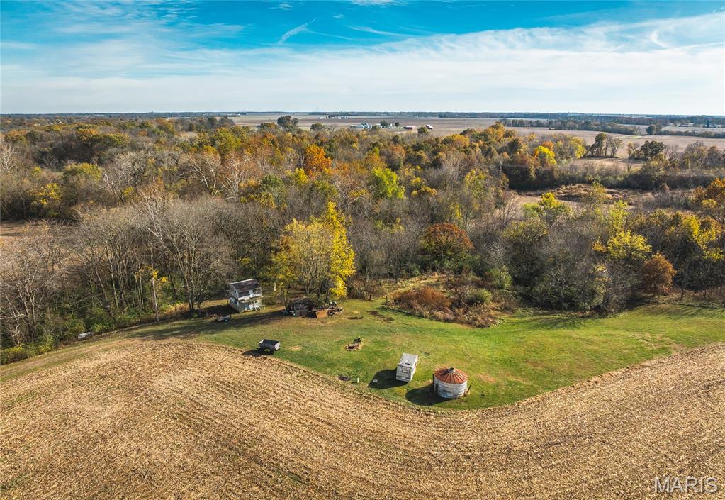 32987 Tb Ruyle Road Medora, IL 62063 - Photo 5 of 20