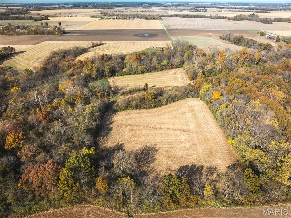 32987 Tb Ruyle Road Medora, IL 62063 - Photo 9 of 20