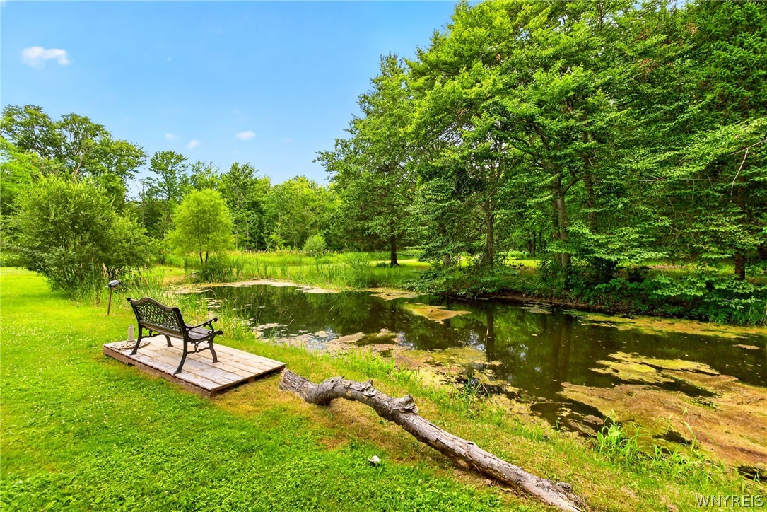 2367 Ellicott Road Caledonia, NY 14423 - Photo 29 of 38