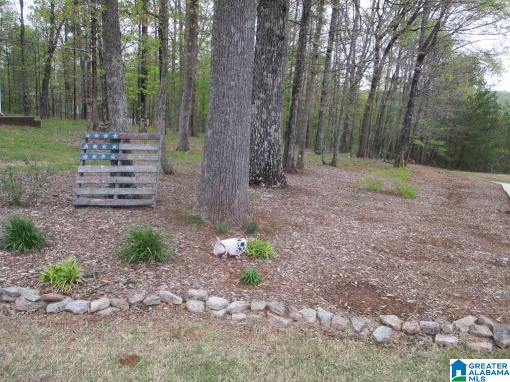 816 Ransome Drive Oneonta, AL 35121 - Photo 38 of 43