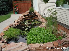 22 West Hazel Dell Lane Springfield, IL 62703 - Photo 9 of 9 Gallery Image 9