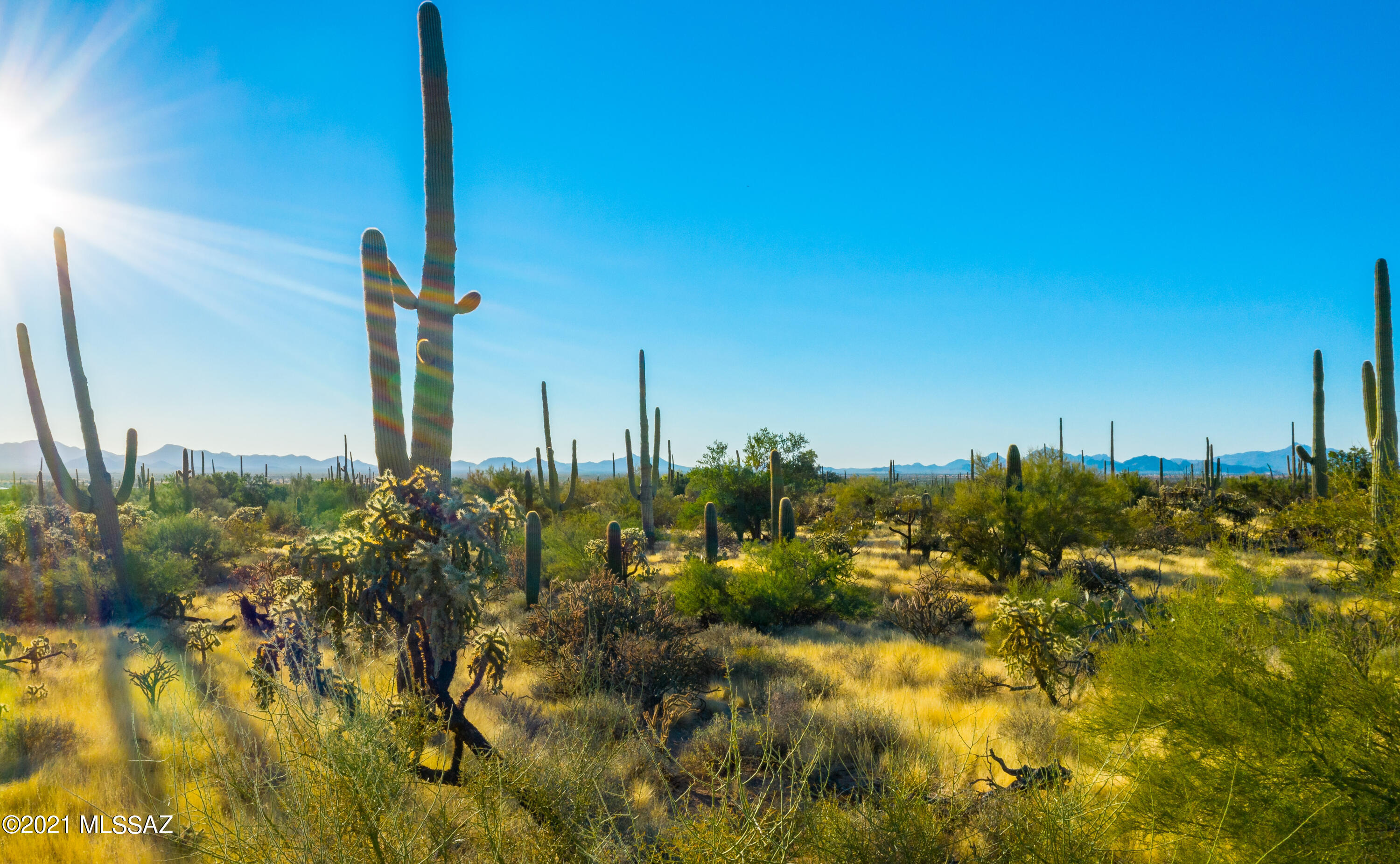 0 North Sandario Road, Unit 1 Tucson, AZ 85743 - Photo 19 of 25