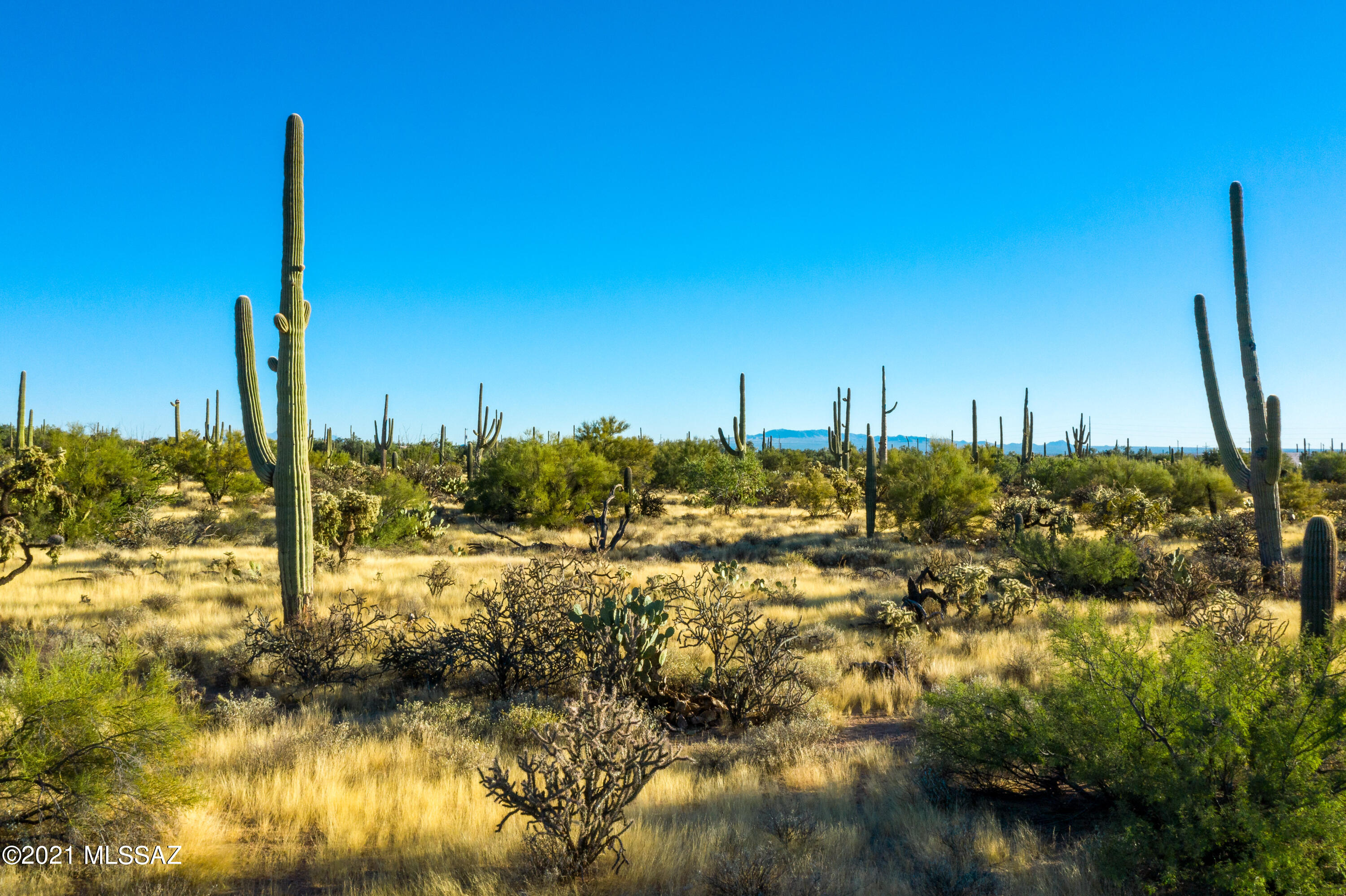0 North Sandario Road, Unit 1 Tucson, AZ 85743 - Photo 20 of 25