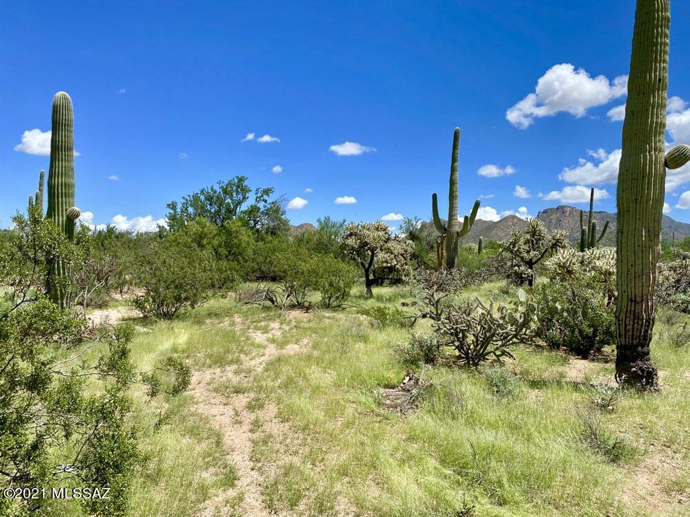 0 North Sandario Road, Unit 1 Tucson, AZ 85743 - Photo 2 of 25