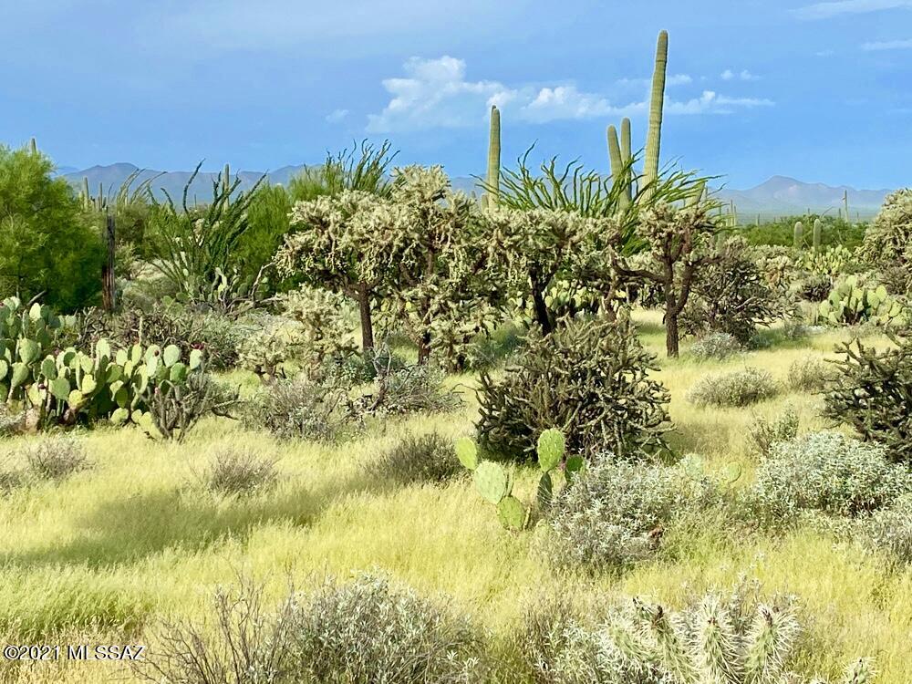 0 North Sandario Road, Unit 1 Tucson, AZ 85743 - Photo 8 of 25