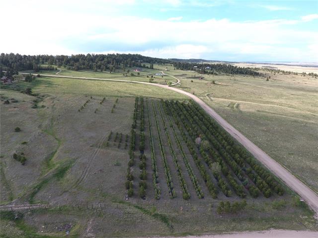 13925 Double Tree Ranch Circle Elbert, CO 80106 - Photo 2 of 33