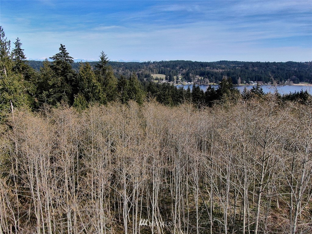 2699 Murdock Road Langley, WA 98260 - Photo 22 of 25 Gallery Image 22