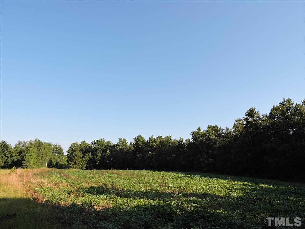 20-acres Lawson Adcock Road Roxboro, NC 27574 - Photo 5 of 5 Gallery Image 5