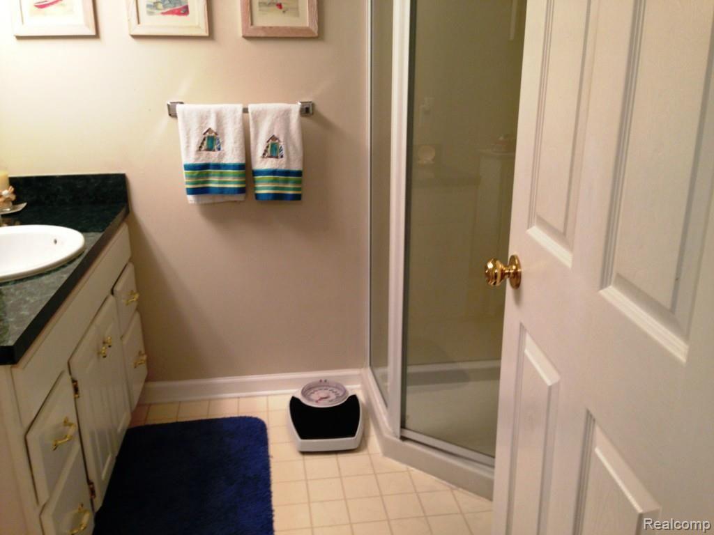 3366 Fairgrove Court Rochester, MI 48309 - Photo 14 of 18 Lower level full bath.jpg