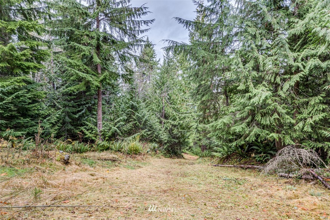 6368 South Old Mill Road Port Angeles, WA 98362 - Photo 22 of 40 Gallery Image 22