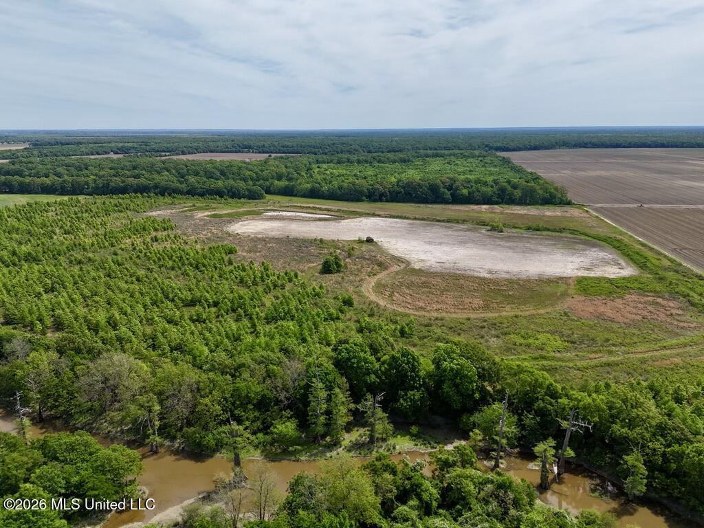 1 Highway 3 Lambert, MS 38643 - Photo 49 of 102 1F77F137-04CB-412E-BFB1-010A5ACF9118_1_1