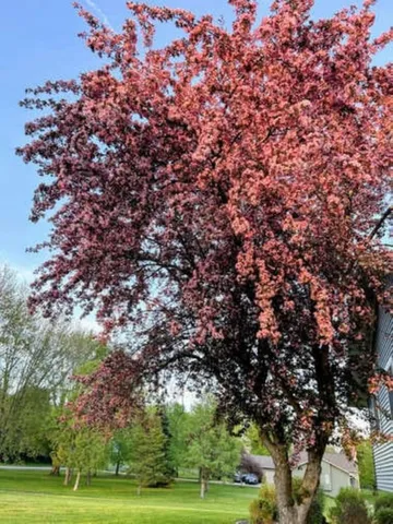 $750,000 | 4515 West Edgewood Drive, Appleton, WI 54913