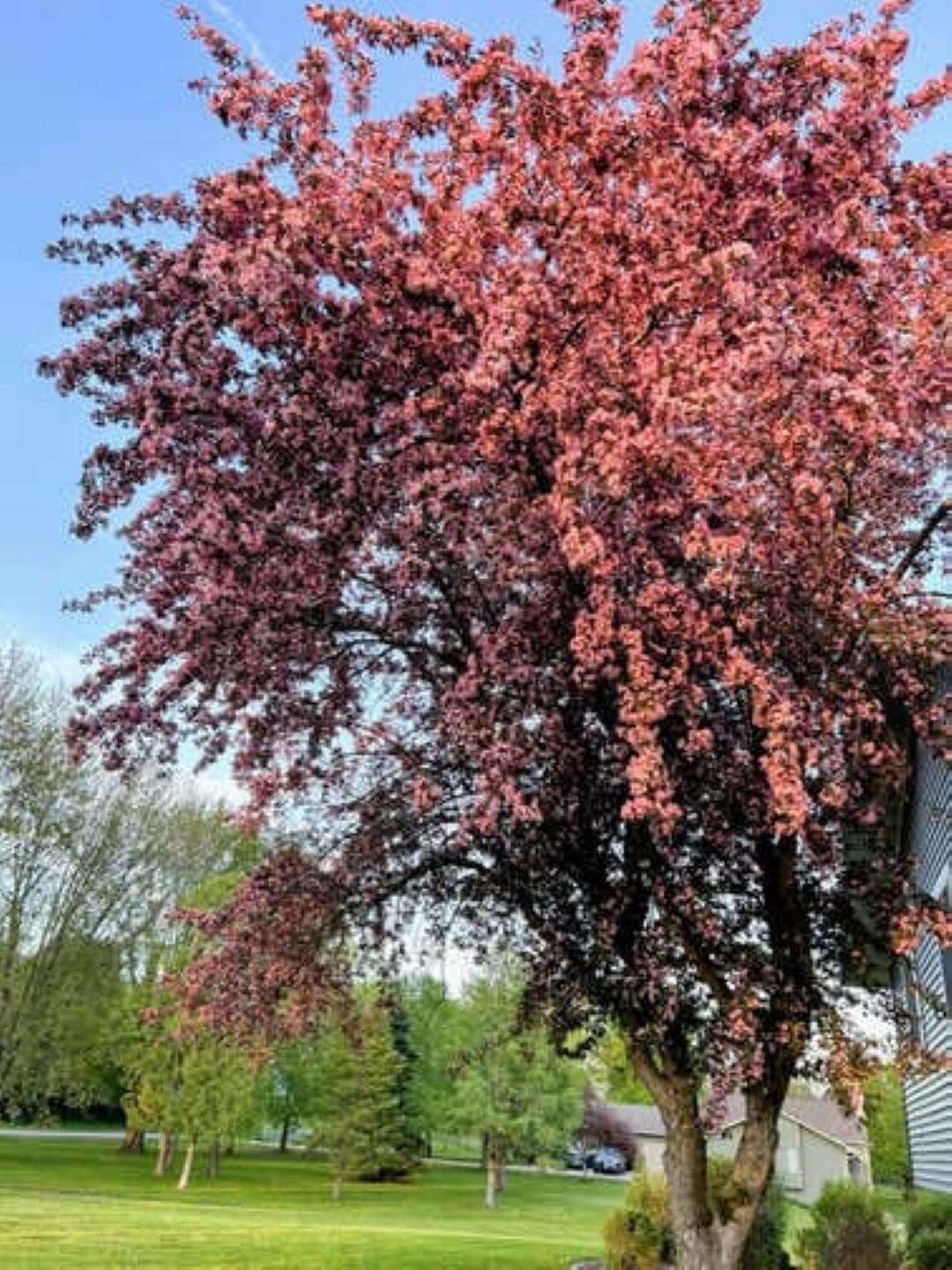 4515 West Edgewood Drive Appleton, WI 54913 - Photo 19 of 25