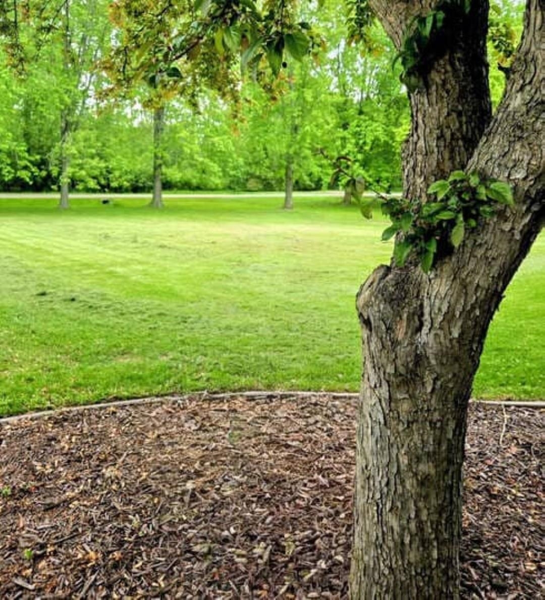 4515 West Edgewood Drive Appleton, WI 54913 - Photo 22 of 25