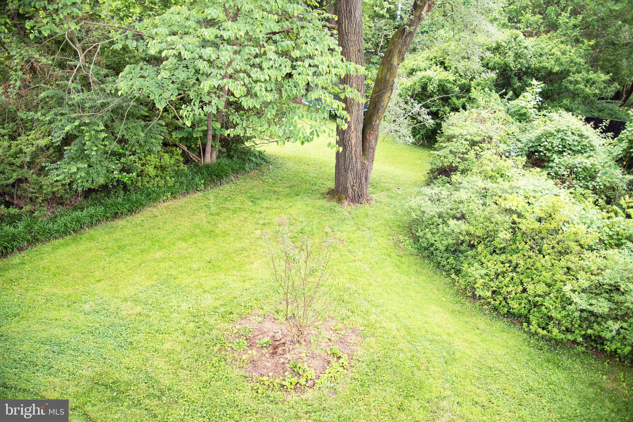 6811 Rosemont Drive McLean, VA 22101 - Photo 31 of 31