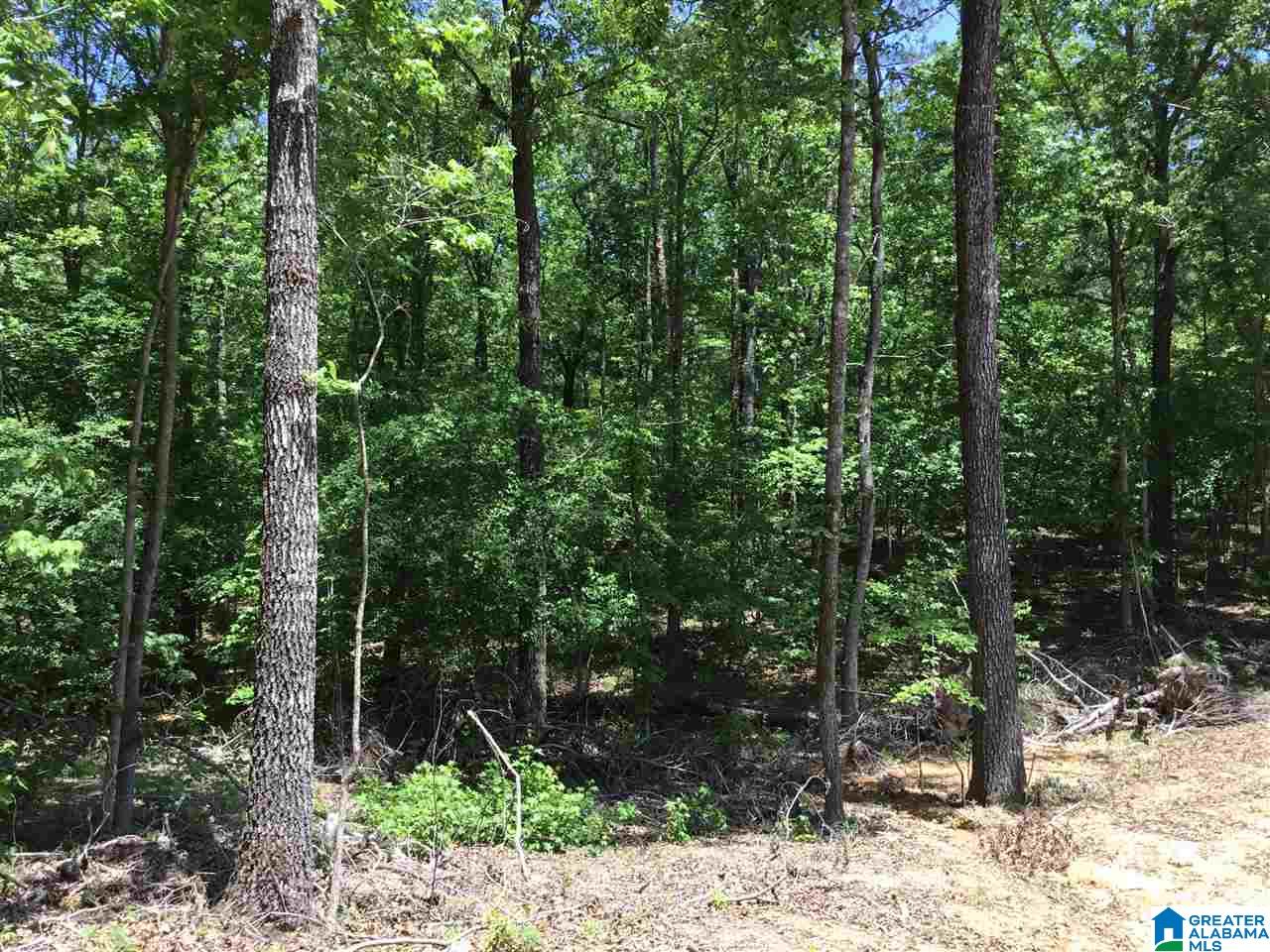 7237 Joinertown Road, Unit 7 09 ACRES Columbiana, AL 35051 - Photo 15 of 17