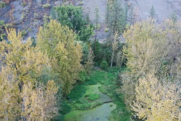 $550,000 | 3210 Highway 162, Kamiah, ID 83536