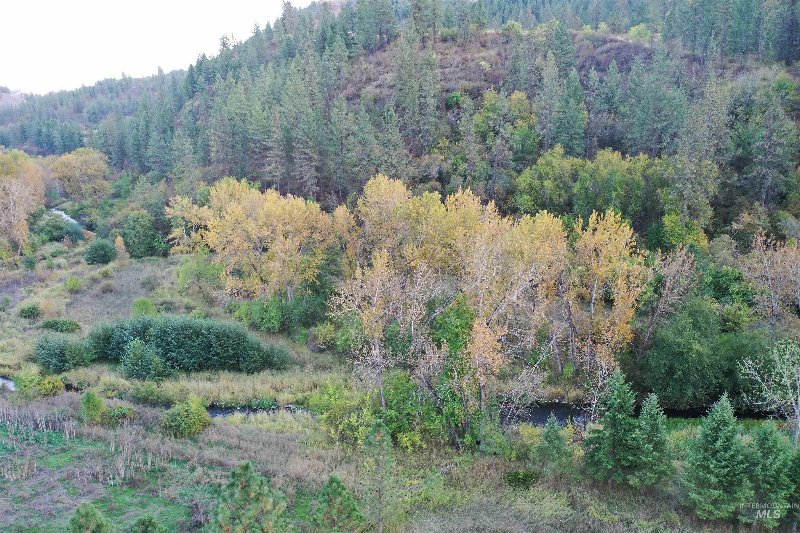 3210 Highway 162 Kamiah, ID 83536 - Photo 8 of 28 Aerial view of property's location featuring a forest