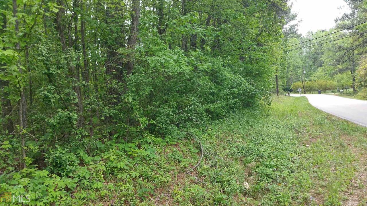 0 Brown Road Stockbridge, GA 30281 - Photo 1 of 1