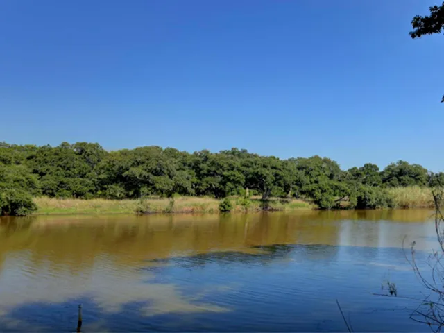 a view of a lake with a forest