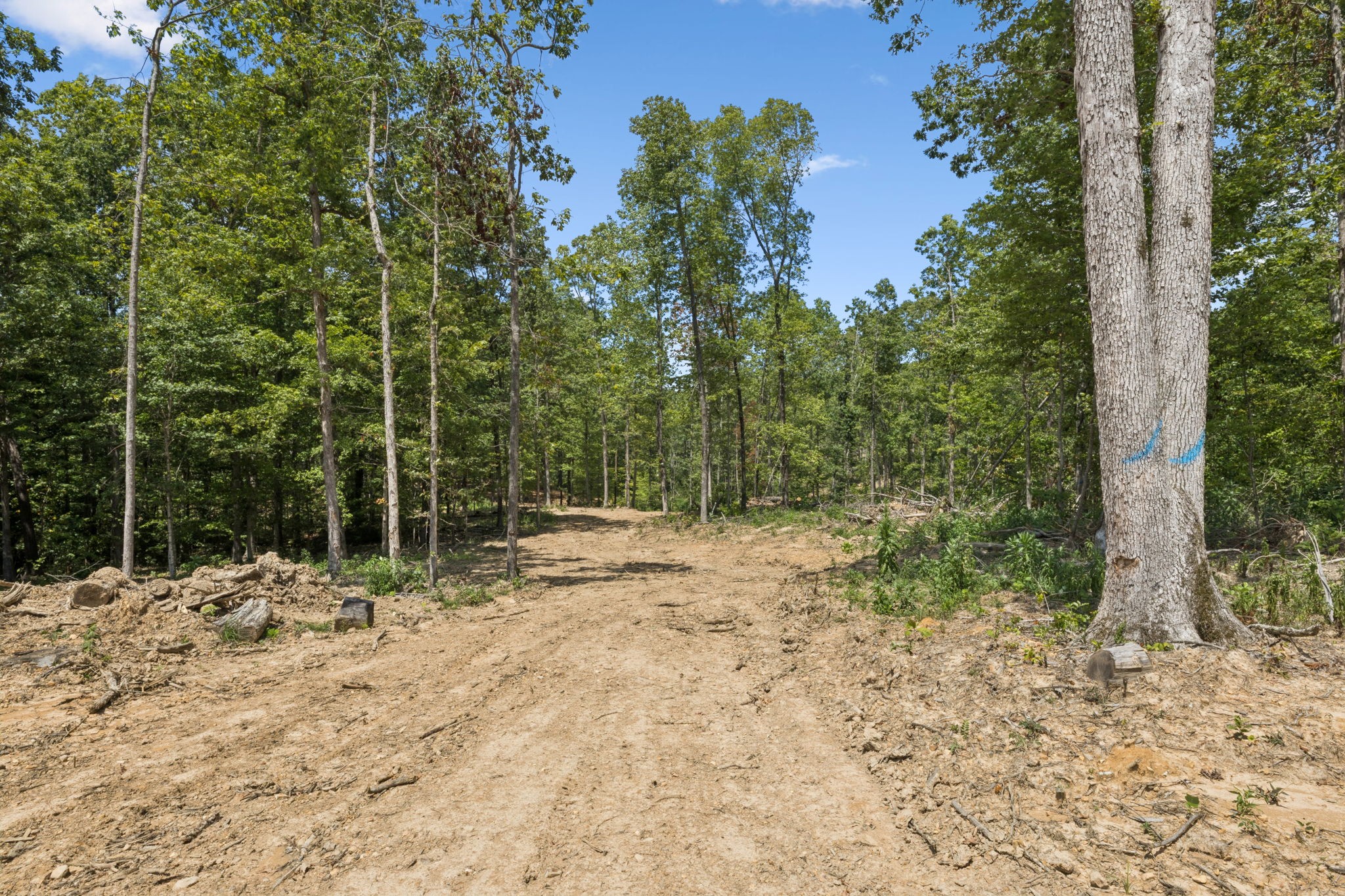 4 Hop Smith Road Cumberland Furnace, TN 37051 - Photo 43 of 47