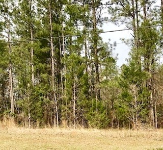 659 Antioch Road LaGrange, GA 30240 - Photo 1 of 1 Gallery Image 1