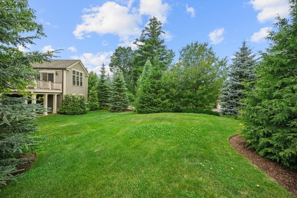 29 Pine Summit Circle, Unit 29 Weston, MA 02493 - Photo 28 of 30 a view of a yard in front of a house with a large tree