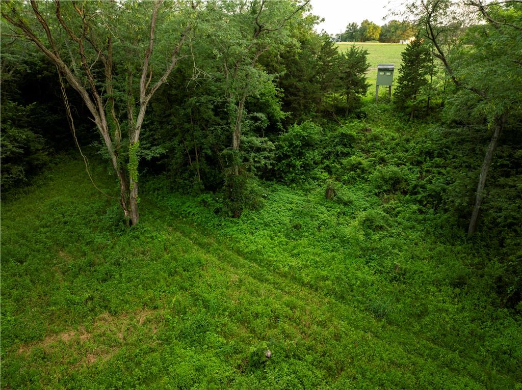 12307 Crescent Road Gilman City, MO 64642 - Photo 38 of 63