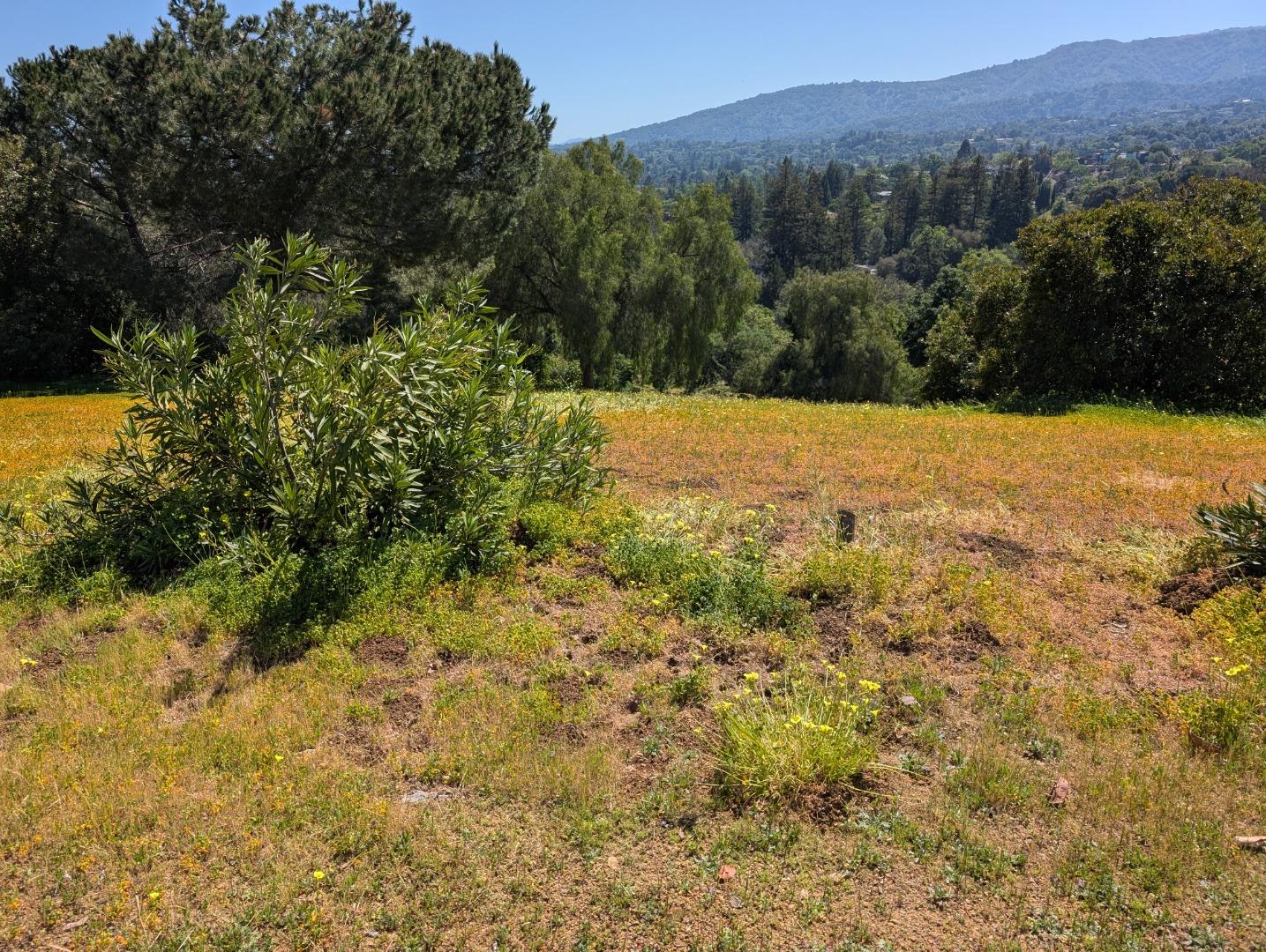 0 Ruth Lee Court Los Altos, CA 94024 - Photo 1 of 3