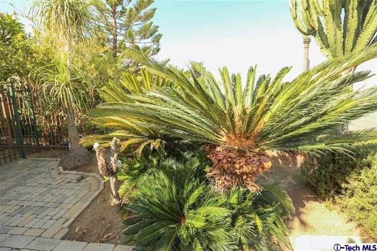 324 East Ramona Road Alhambra, CA 91801 - Photo 58 of 72 a view of a backyard