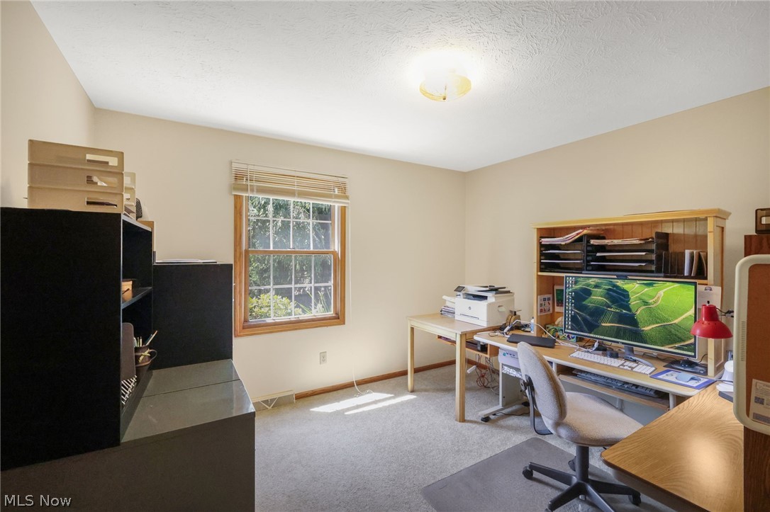 155 Oldman Road Wooster, OH 44691 - Photo 27 of 37 Office with carpet floors and a textured ceiling