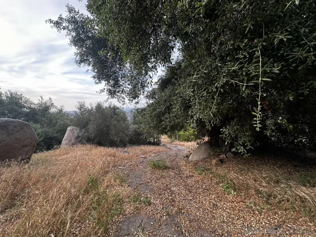 1088 Barona Road, Unit 1088 Lakeside, CA 92040 - Photo 3 of 6 a view of a yard with trees
