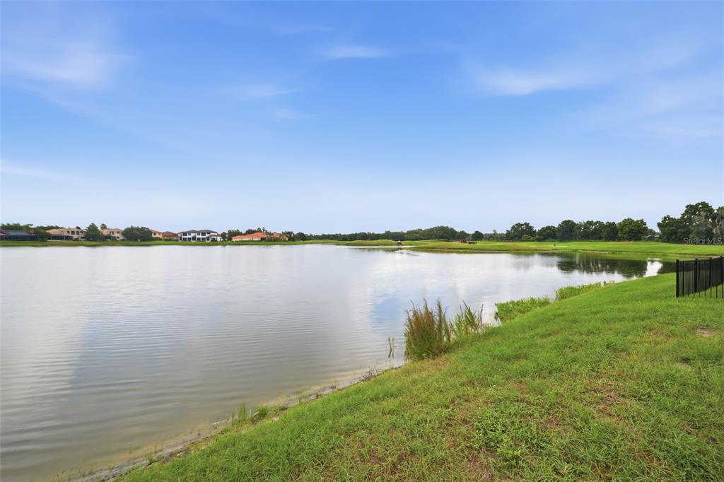 10341 Altrara Way Trinity, FL 34655 - Photo 24 of 29