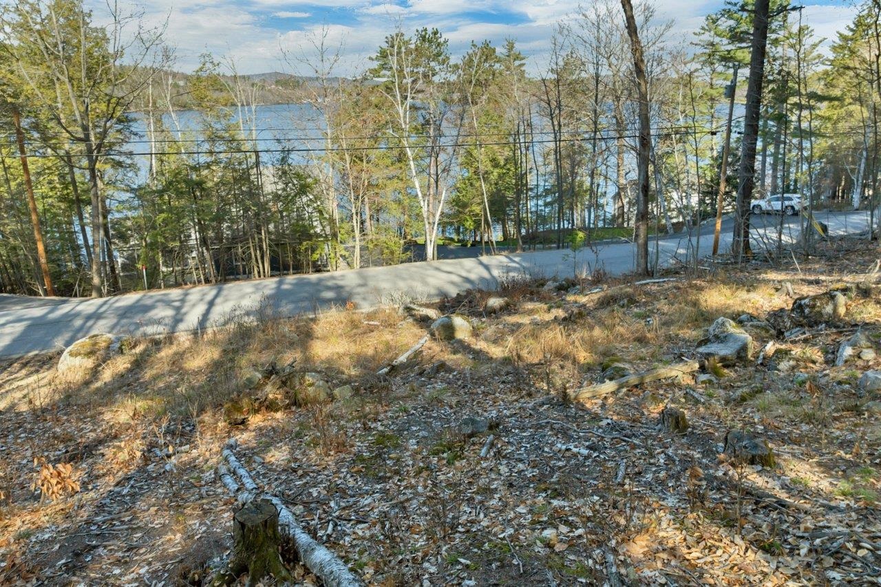 0 Pinnacle Park Road Meredith, NH 03253 - Photo 5 of 12 Gallery Image 5