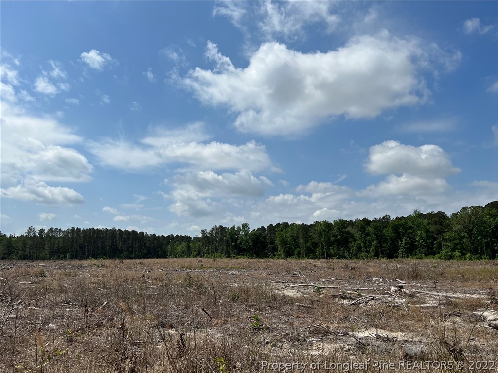 4052 Collier Road Wade, NC 28395 - Photo 2 of 8