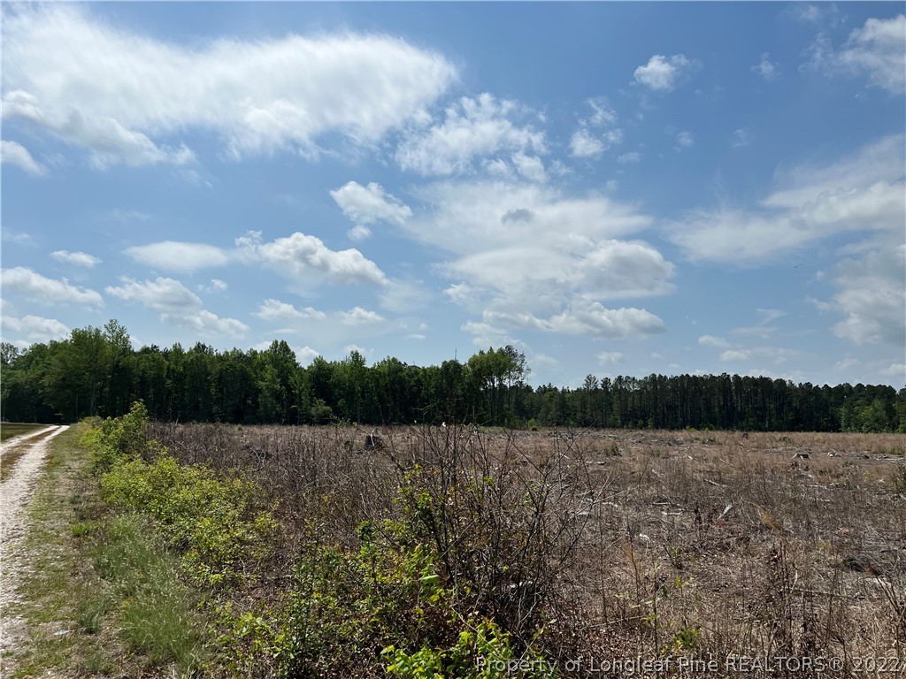 4052 Collier Road Wade, NC 28395 - Photo 3 of 8