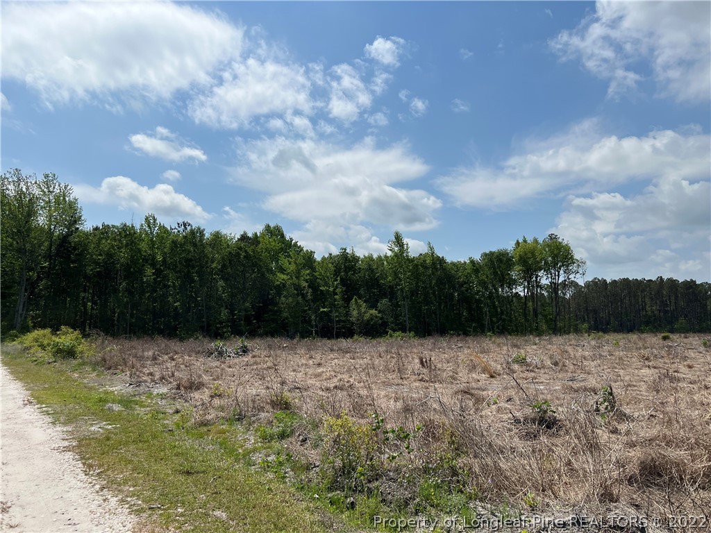 4052 Collier Road Wade, NC 28395 - Photo 4 of 8