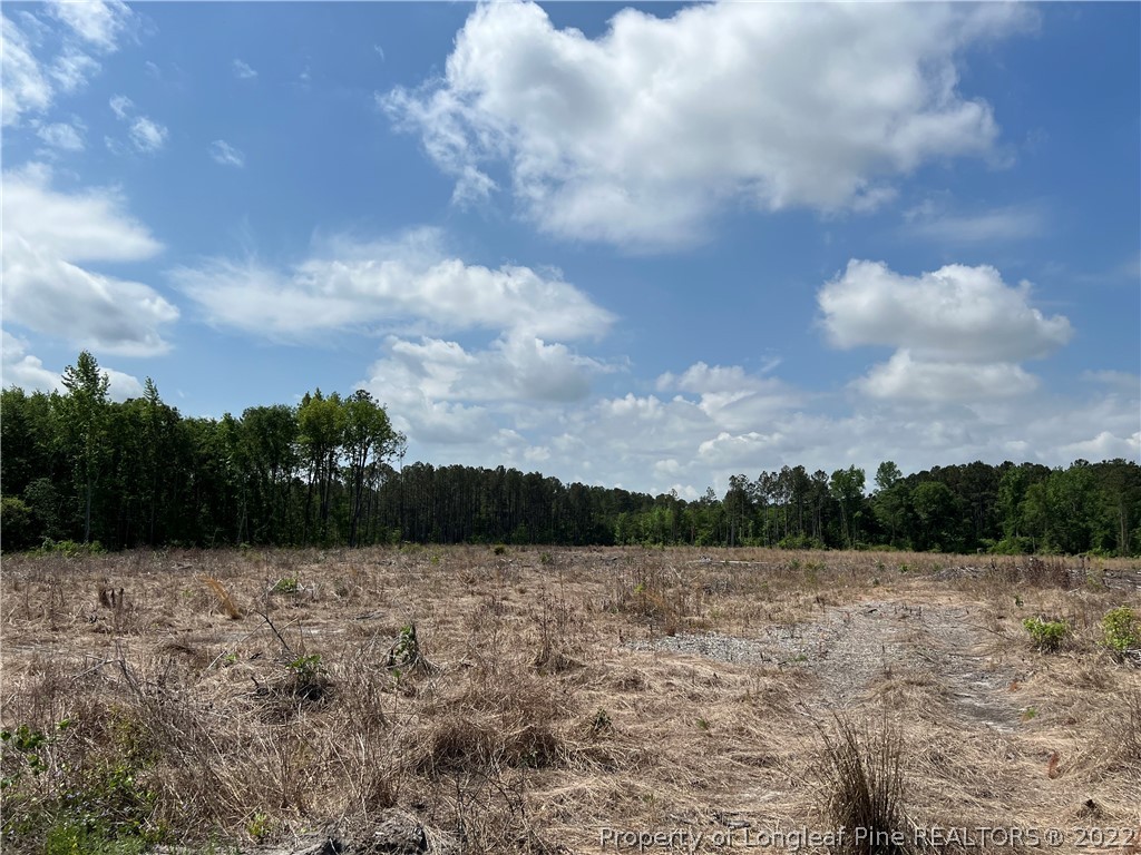 4052 Collier Road Wade, NC 28395 - Photo 5 of 8