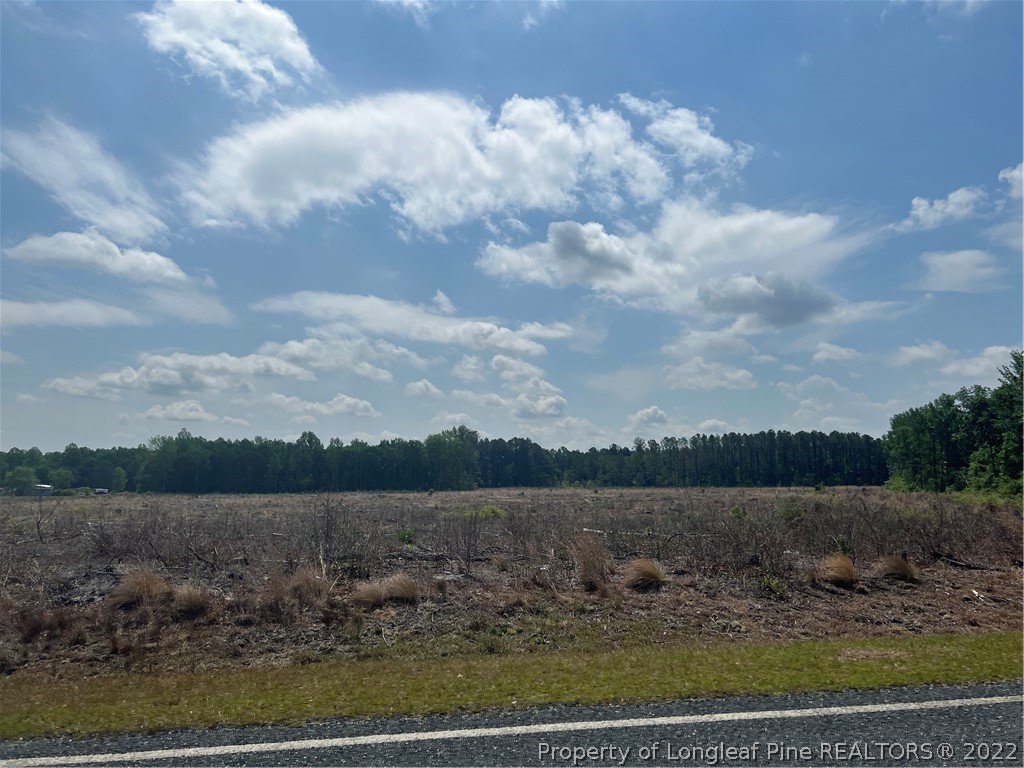 4052 Collier Road Wade, NC 28395 - Photo 7 of 8