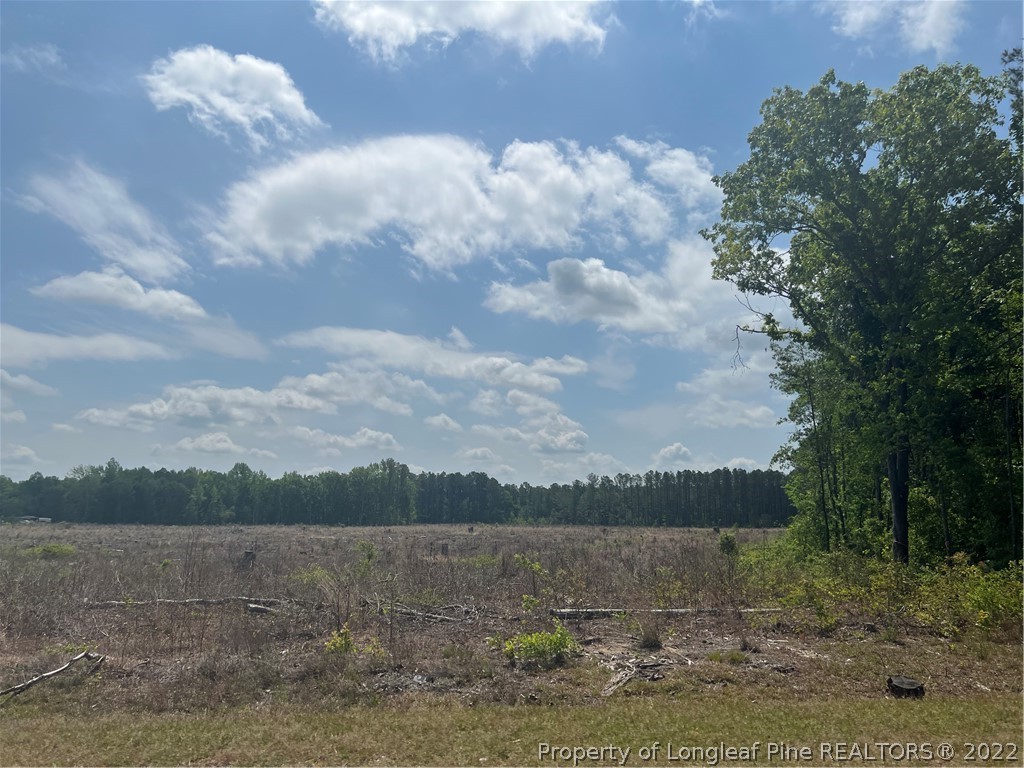 4052 Collier Road Wade, NC 28395 - Photo 8 of 8