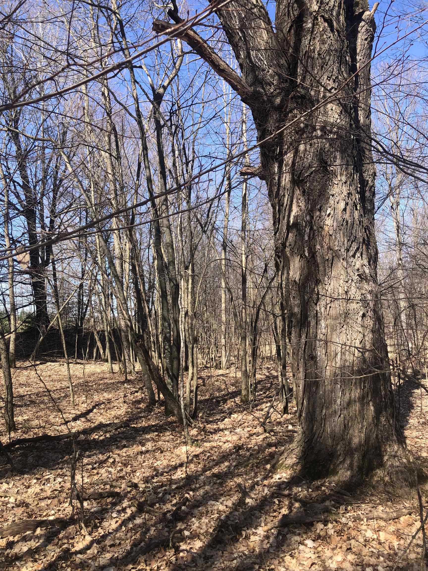 9 South 9 Mile Road Copemish, MI 49625 - Photo 20 of 35