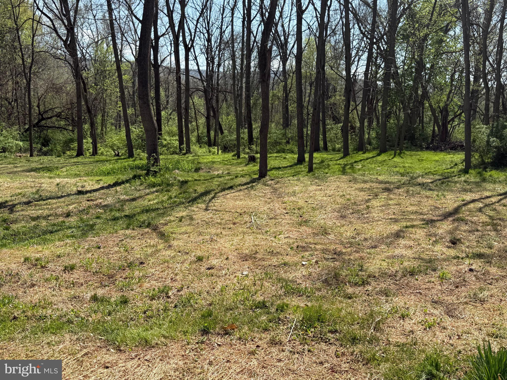 1239 York Road Mechanicsburg, PA 17055 - Photo 49 of 50