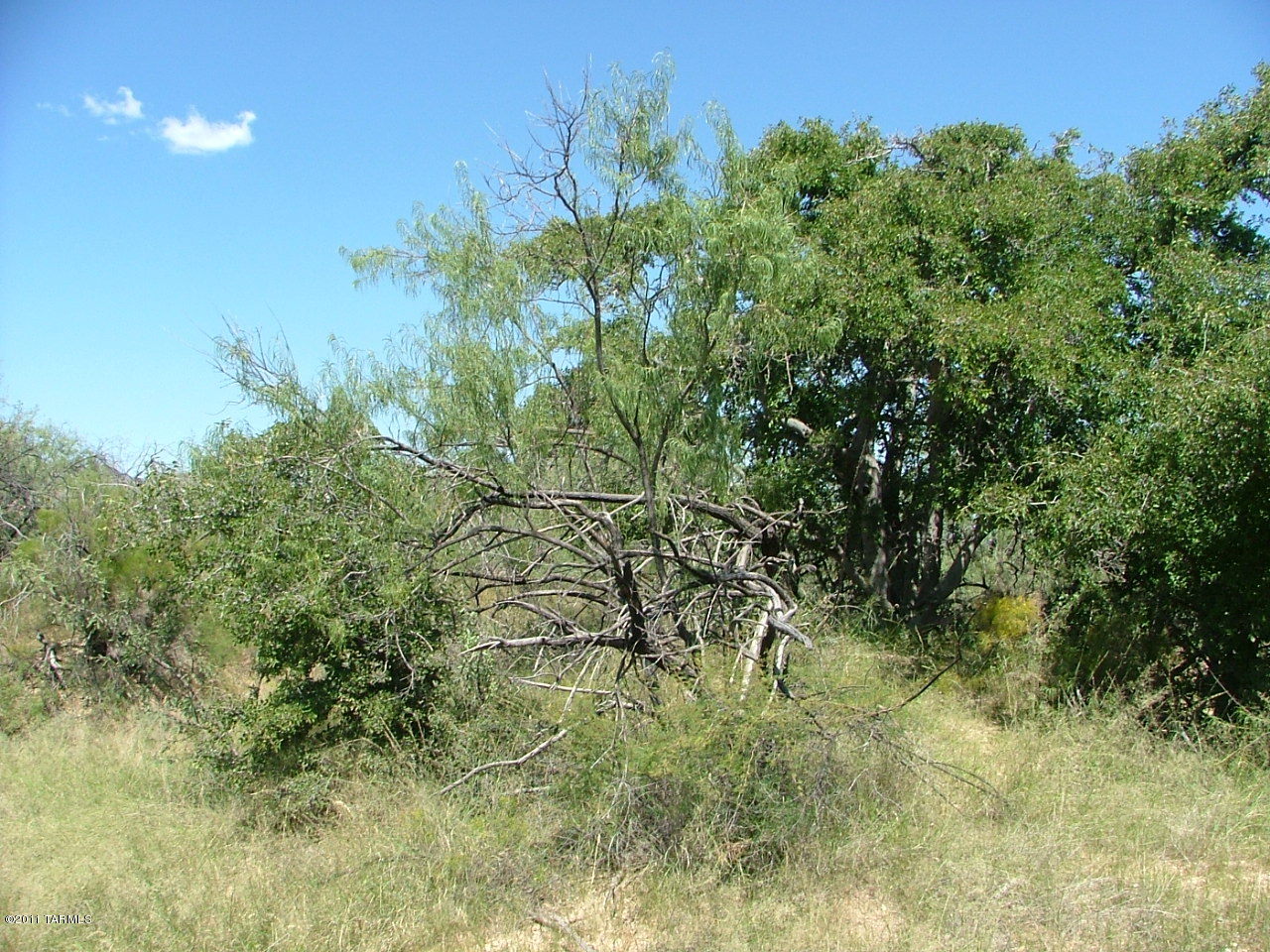 West Bryant Road Pearce, AZ 85625 - Photo 13 of 14