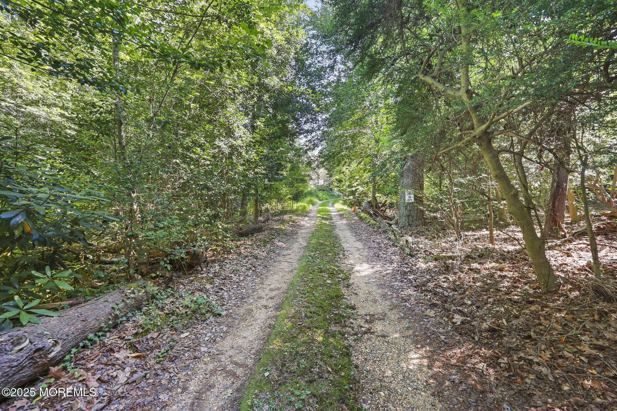 100 Highway 33 Freehold, NJ 07728 - Photo 20 of 26 a big yard with flowing stream of water in middle