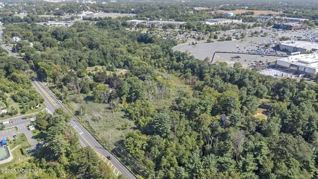 an aerial view of forest
