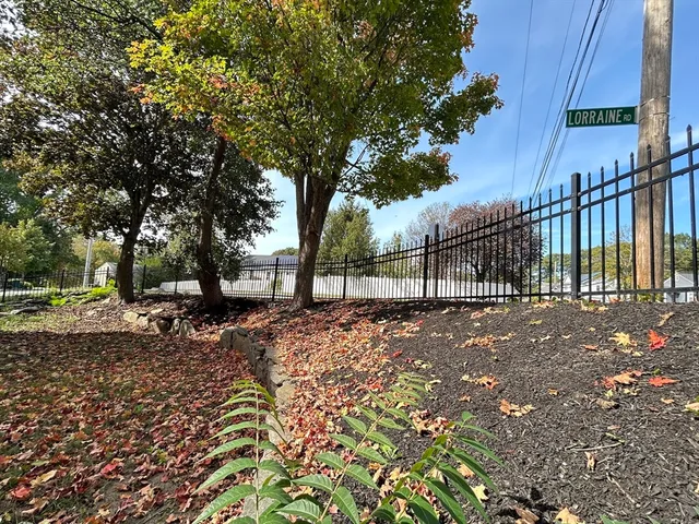 a view of street with trees in the background